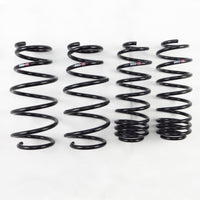 RS-R 09-13 Honda Fit (GE8) Down Sus Springs